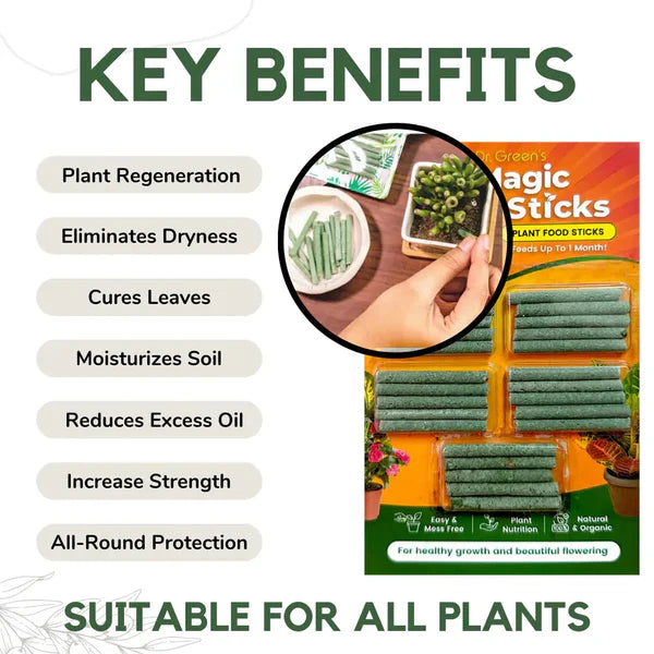 Dr. Green's Magic Sticks || Buy 1 Get 1 FREE