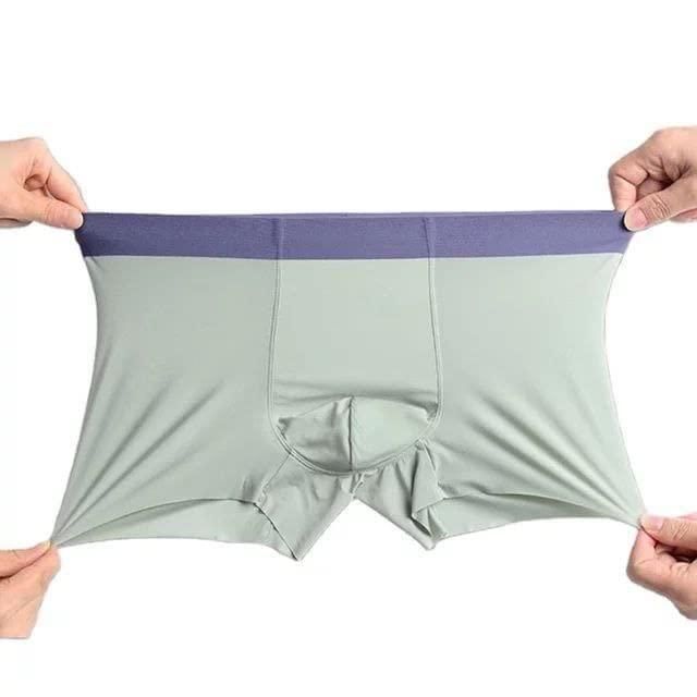Men's Ice Silk Briefs Boxers - Buy 1 Get 2 Free